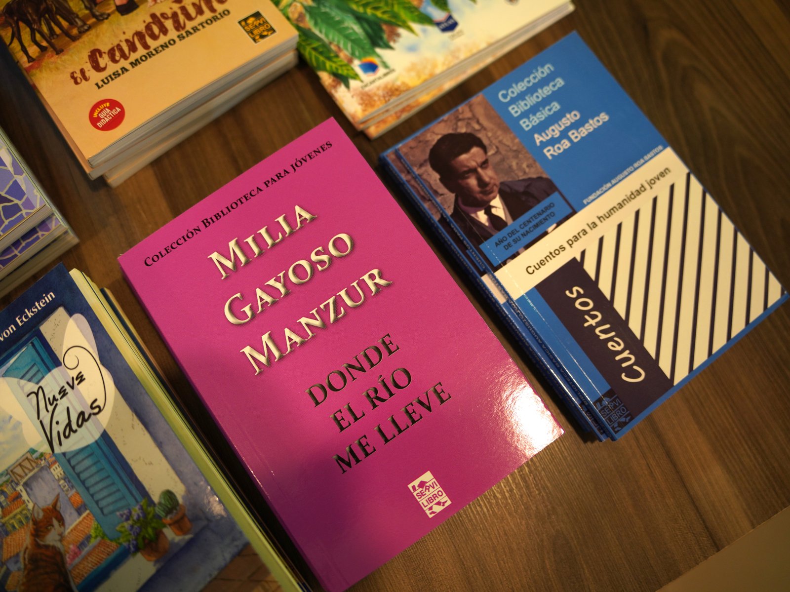 Portada de Donde el Rio me Llueve